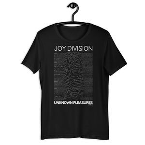 JOY DIVISION Unknown Pleasures Lyrics.