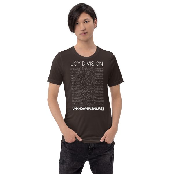 JOY DIVISION Unknown Pleasures Lyrics. - Imagen 4