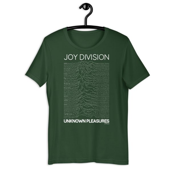 JOY DIVISION Unknown Pleasures Lyrics. - Imagen 16