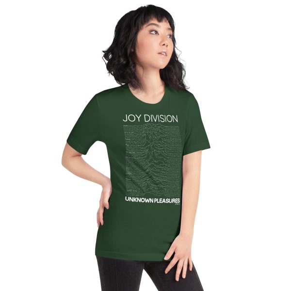 JOY DIVISION Unknown Pleasures Lyrics. - Imagen 6