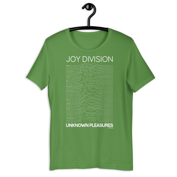 JOY DIVISION Unknown Pleasures Lyrics. - Imagen 22
