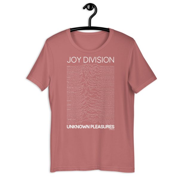 JOY DIVISION Unknown Pleasures Lyrics. - Imagen 21