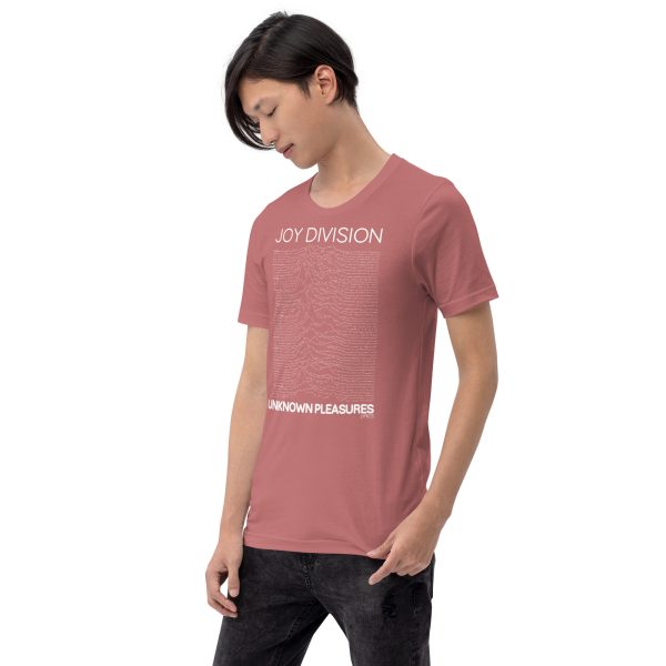 JOY DIVISION Unknown Pleasures Lyrics. - Imagen 11