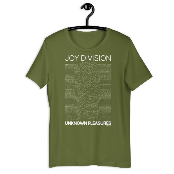 JOY DIVISION Unknown Pleasures Lyrics. - Imagen 19