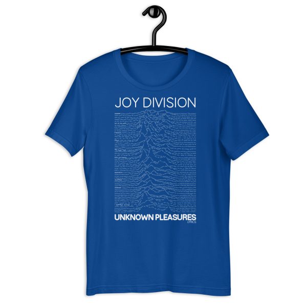 JOY DIVISION Unknown Pleasures Lyrics. - Imagen 17